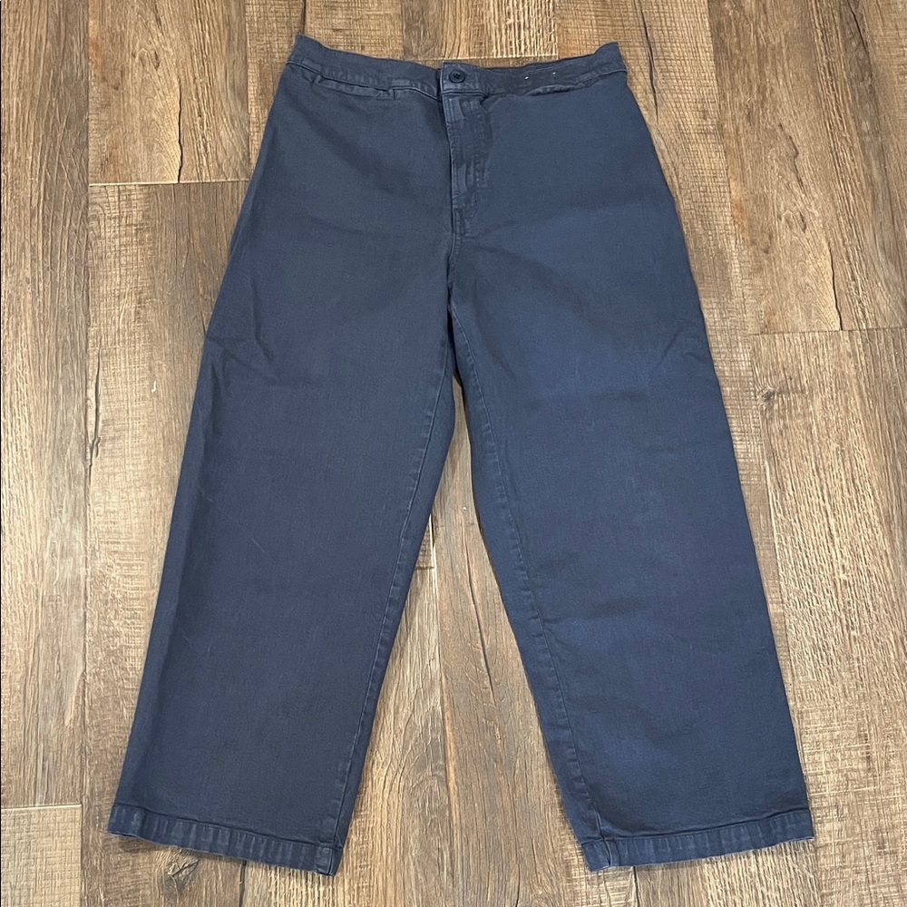 Madewell Emmett Wide Leg Crop 30